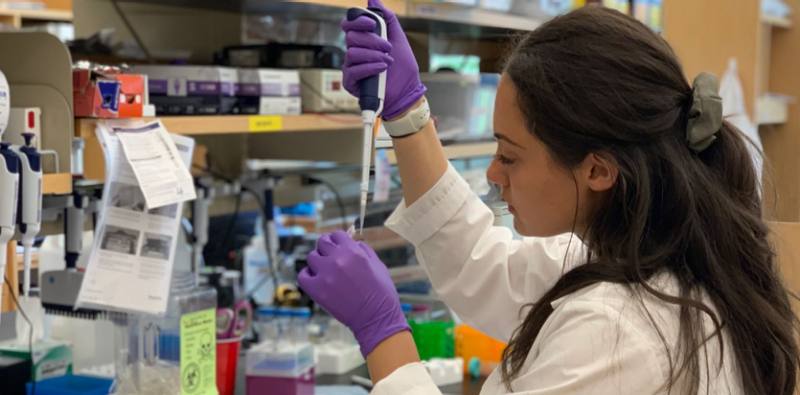 A student researcher pipetting samples at a lab bench